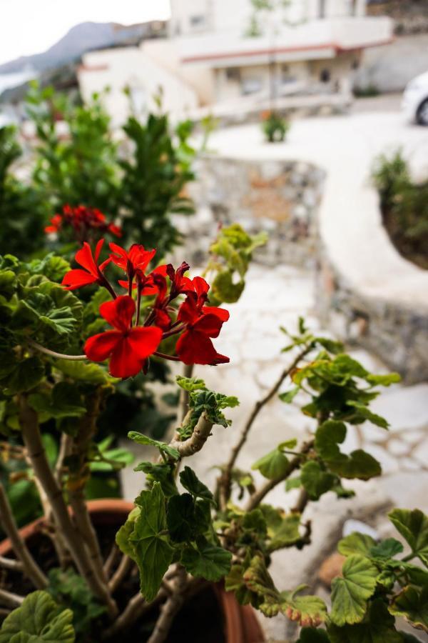 Porto Lassea Villa Kaloi Liménes Dış mekan fotoğraf