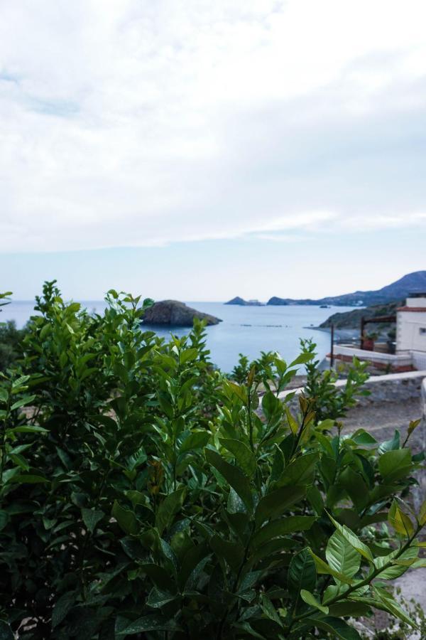 Porto Lassea Villa Kaloi Liménes Dış mekan fotoğraf